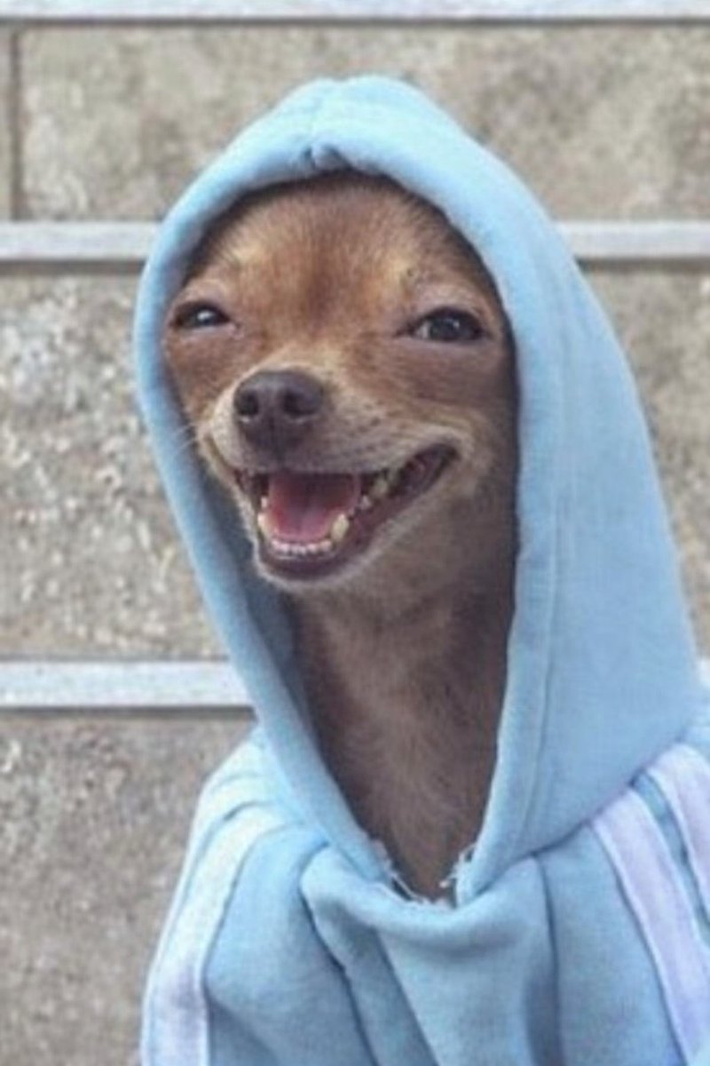 G_Wakabayashi-GK tweet media