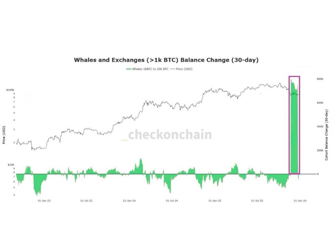 BTC ビットコインの大口投資家が買い増し中です。