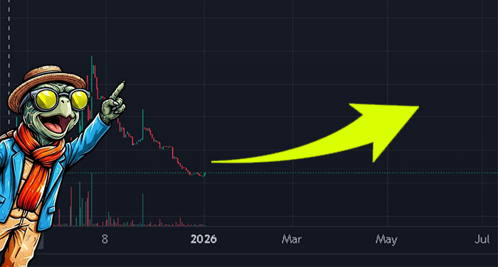Listen $TURTO! When you are pressed against the jagged rocks of the abyss, remember this: the only path left is the Great Ascent! The pressure of the depths only serves to harden our armor. Steel yourselves, hatchlings, for we are about to breach the surface and claim the sun!