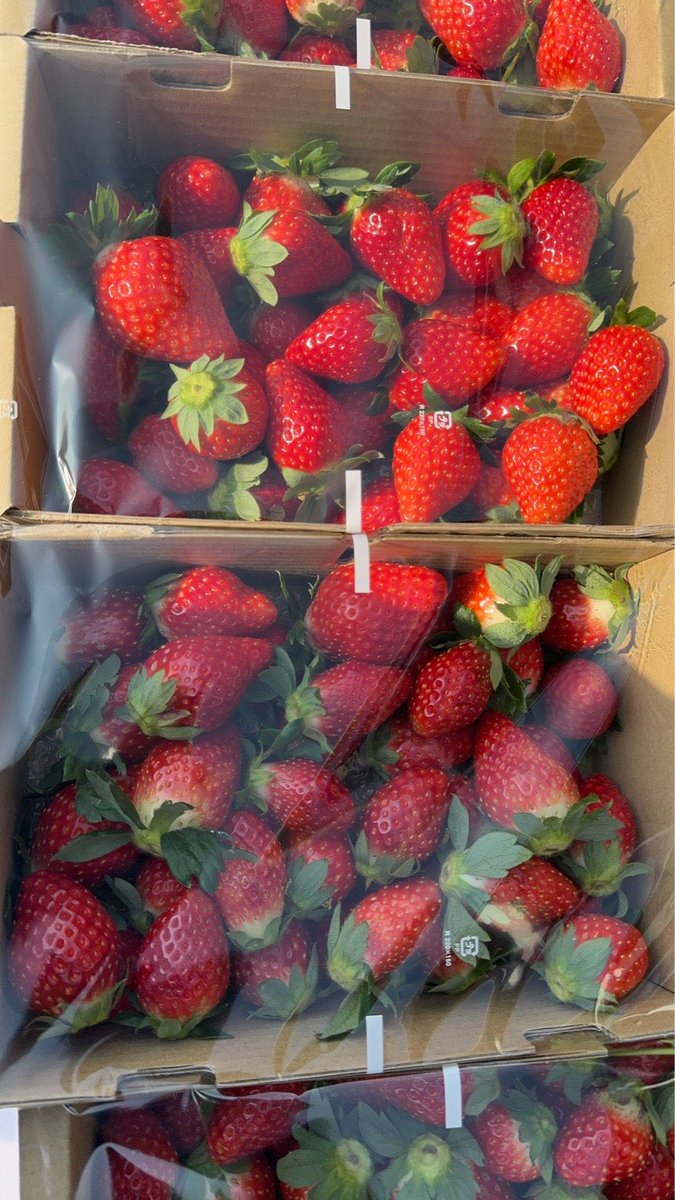 marukinfarm🍓 tweet media
