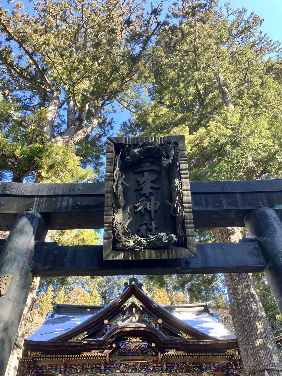 みかん犬🍊🍊 (@tag7master) / Posts / X