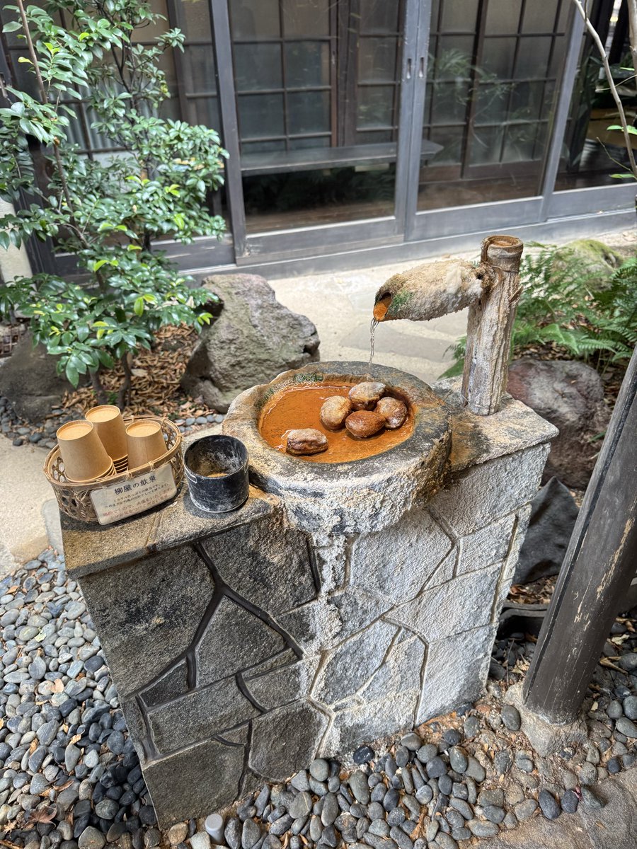 fit314ricaco's tweet photo. 湯治✨地獄蒸し✨
生命の洗濯✨✨

#鉄輪温泉
#湯治柳屋 https://t.co/b1hsjBGhHn