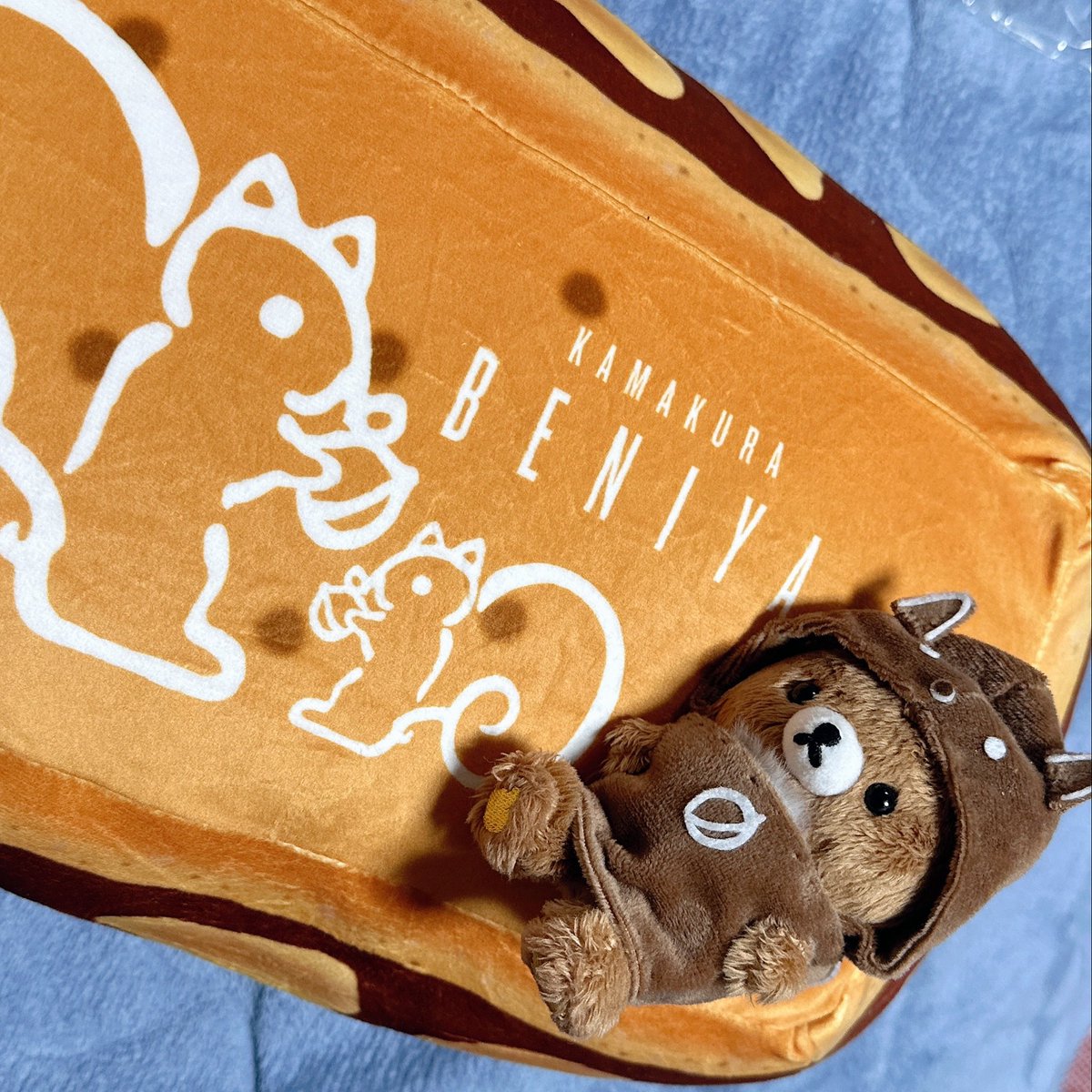 鎌倉紅谷福袋202612月8日から抽選開始！ふわふわともぐもぐ2種の