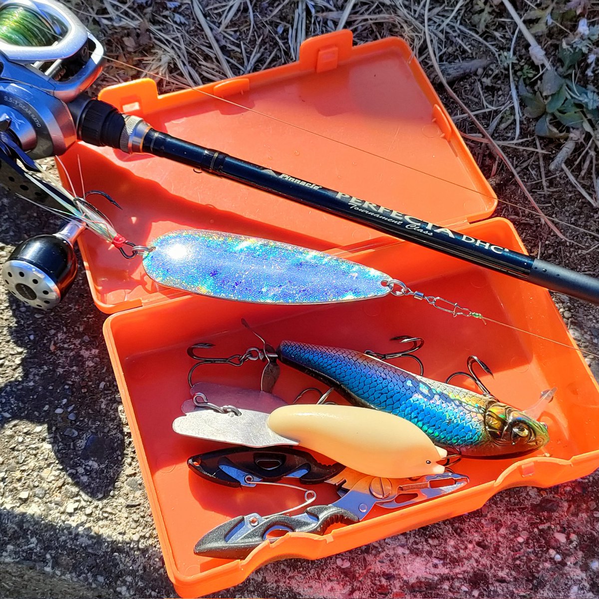 ルアー千一夜🌛公式 tweet media