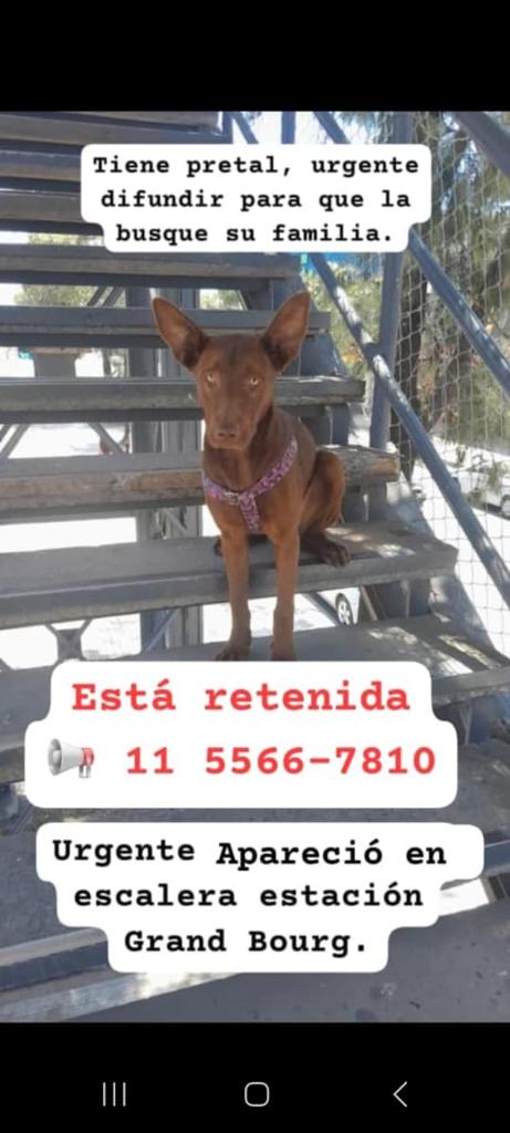 Difundimos