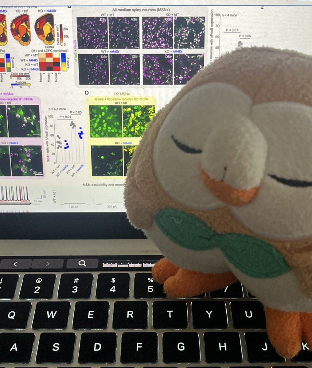 sootpuffs's tweet photo. Mable don’t be mad my research level is low… I’ve been getting it up irl https://t.co/wik8JkWMew