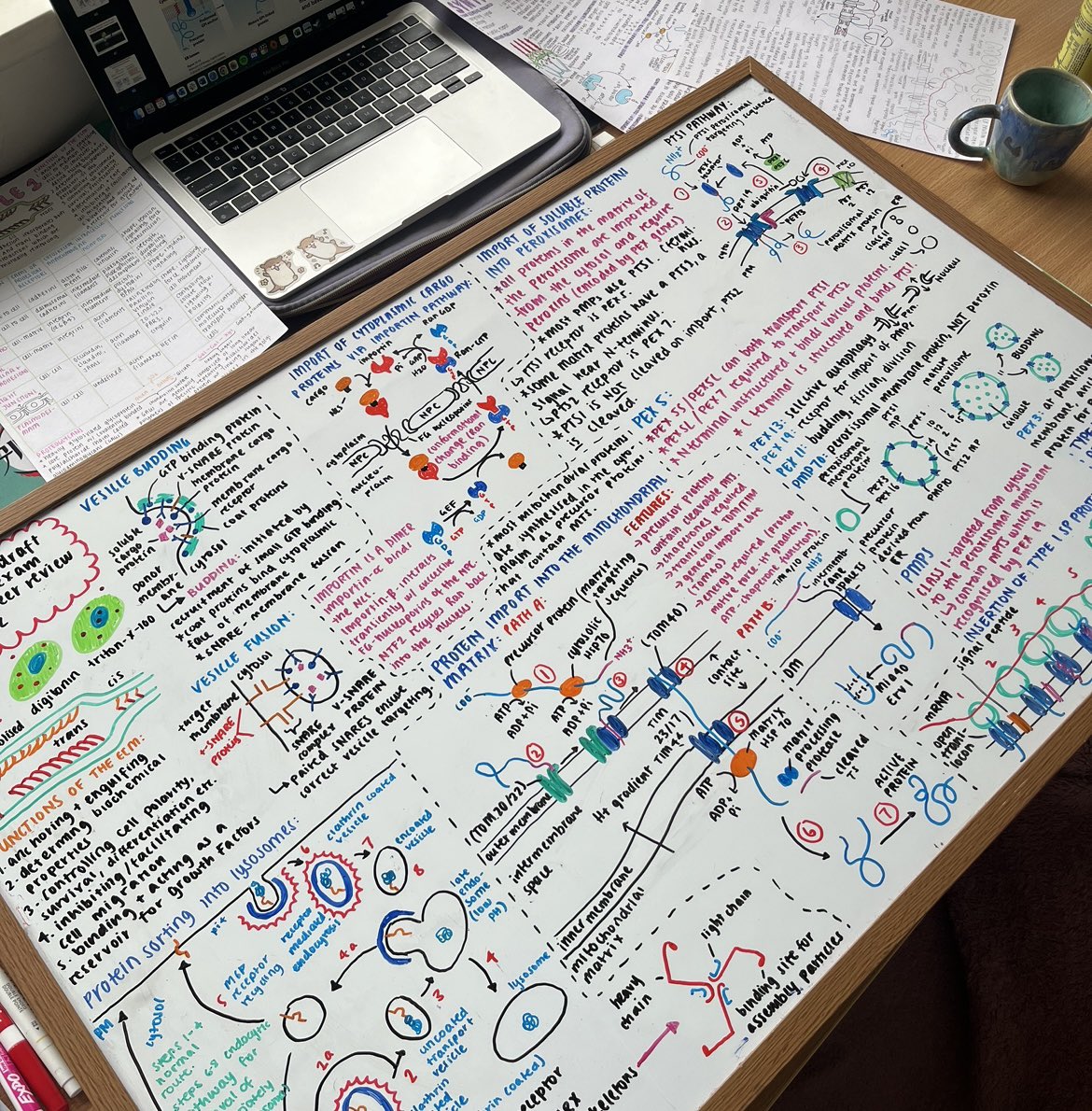sootpuffs's tweet photo. Mable don’t be mad my research level is low… I’ve been getting it up irl https://t.co/wik8JkWMew
