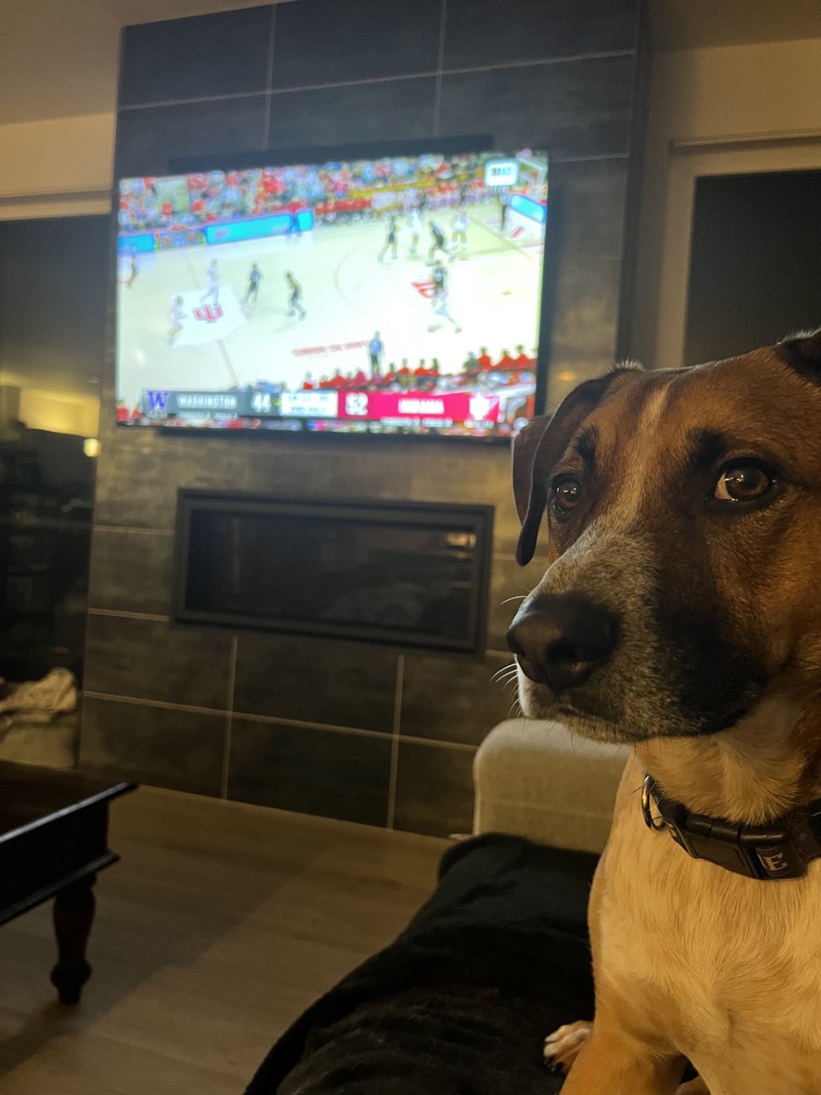 Dave “Softy” Mahler tweet media