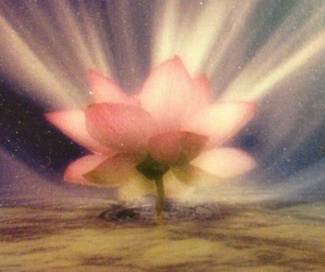 ffl4cko11's tweet image. Cala a boca e assume logo caralho