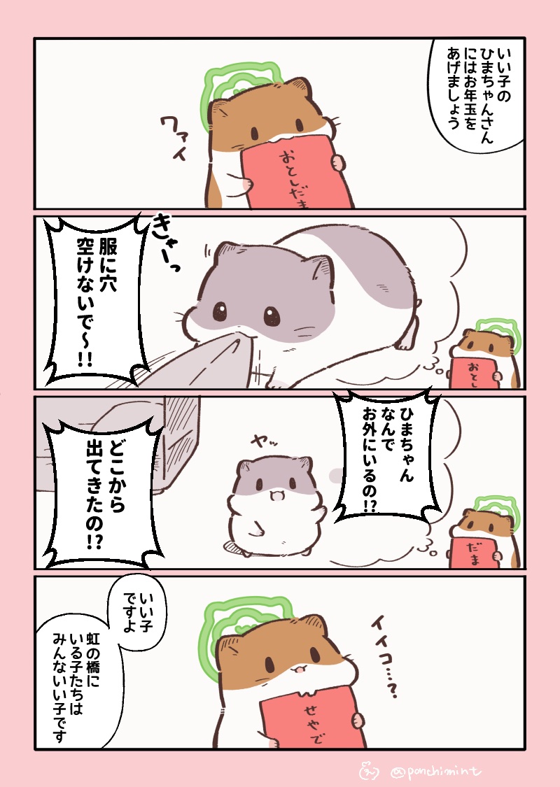 ひまちゃんと天国の面接 ひまちゃんからのお年玉