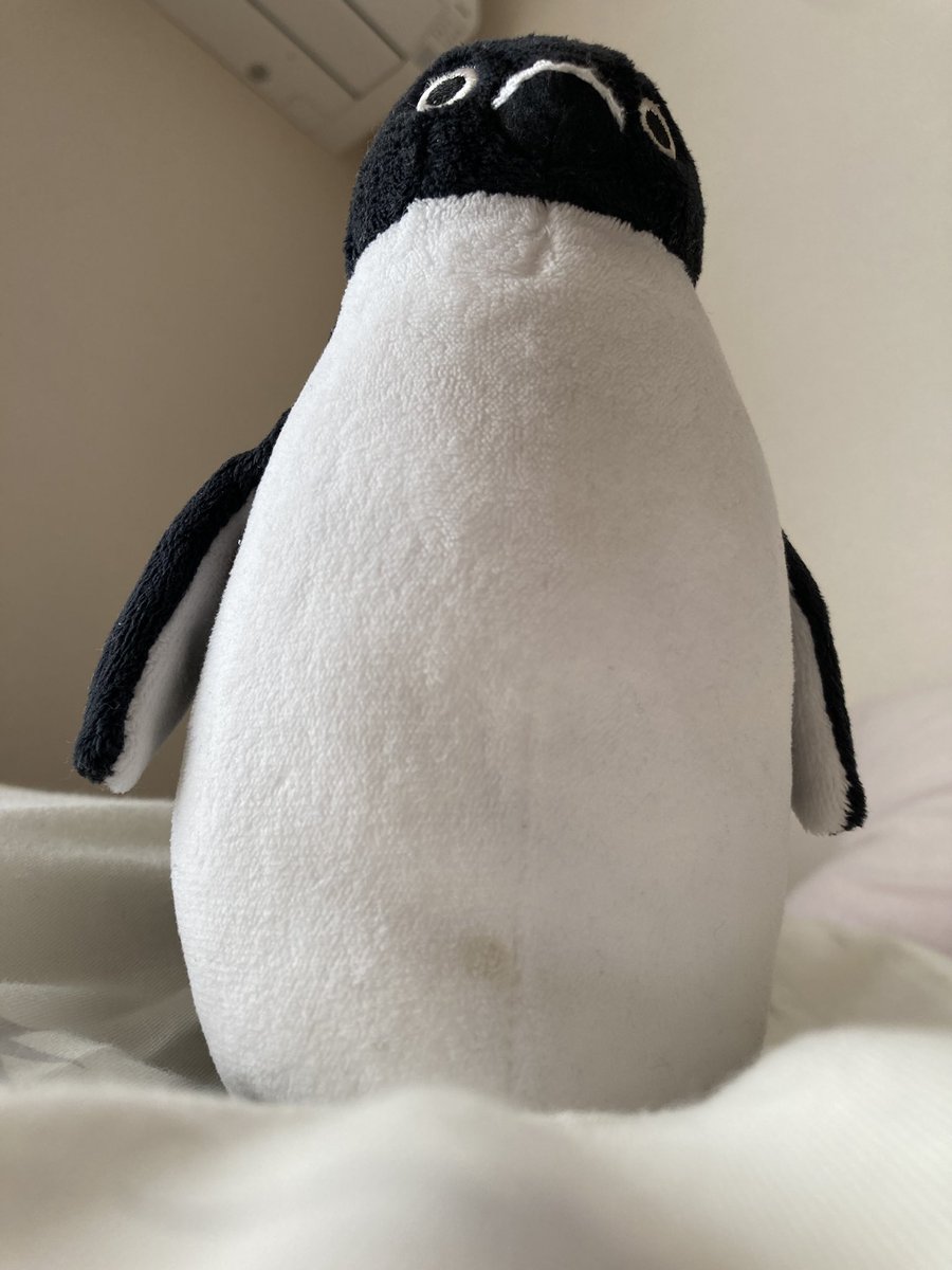 みみみ (@mimimi6261966) / Posts / X