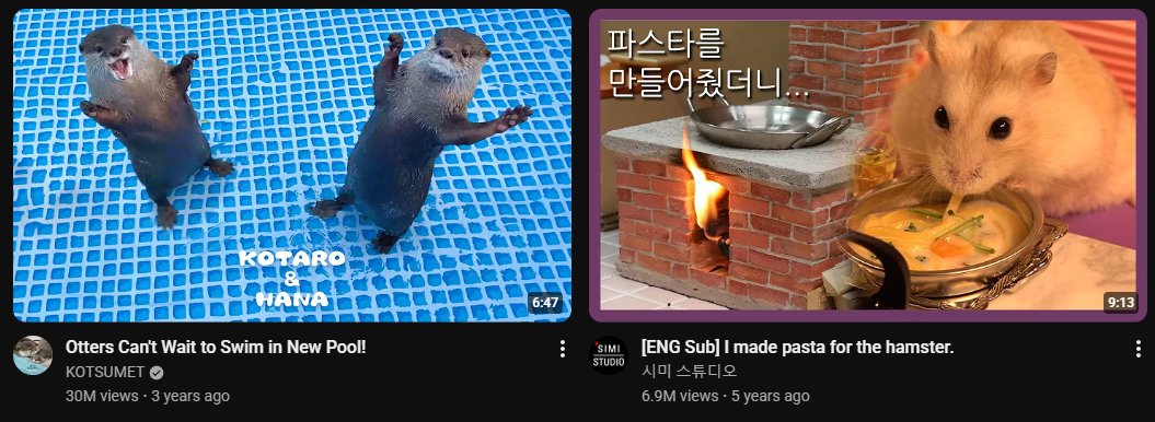 swagalicious yt algorithm gives me the cutest little creatures known to man