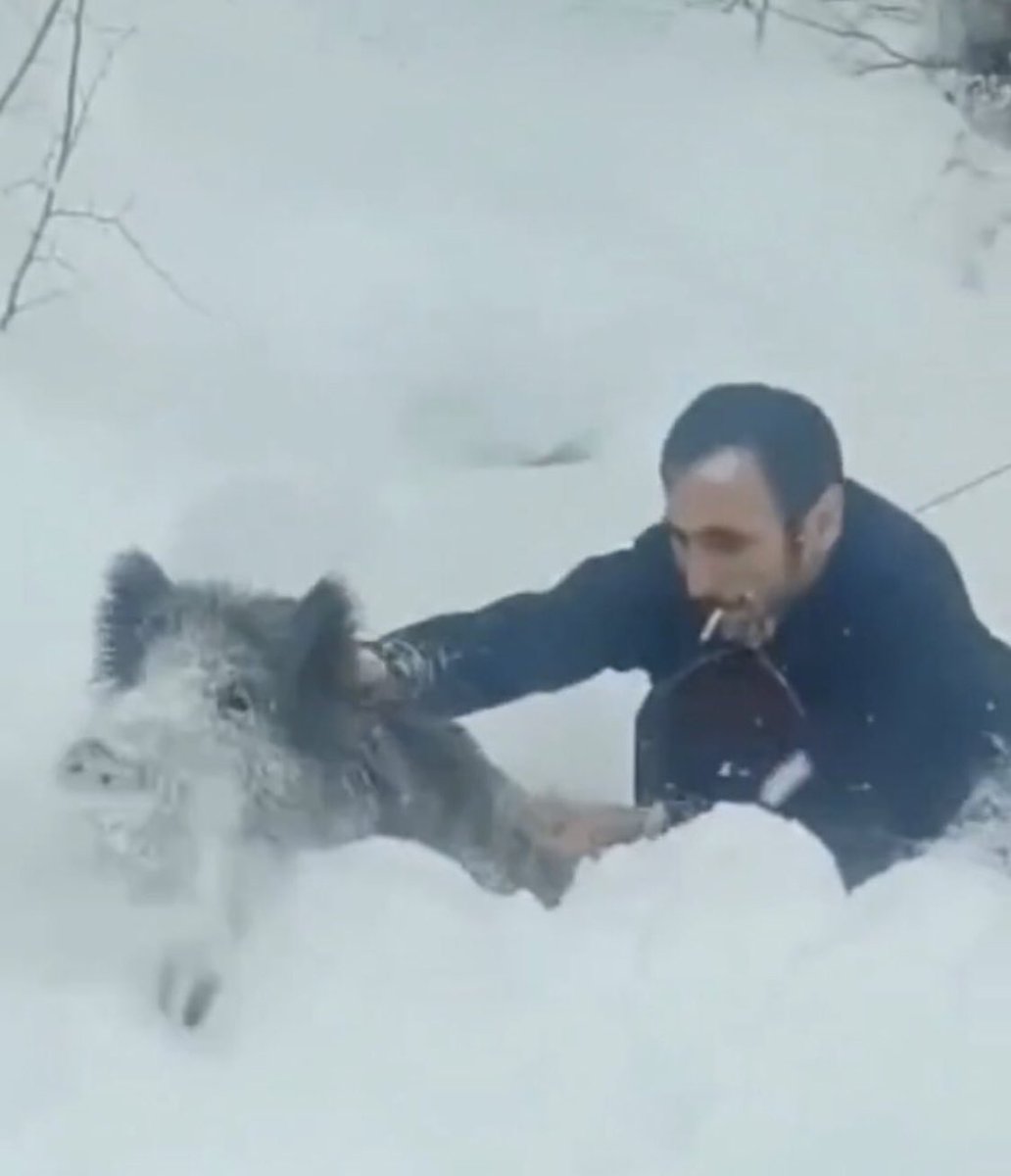🇹🇷 A Turkish man caught a wild boar in the mountains with his bare hands, with a cigarette in his mouth.
