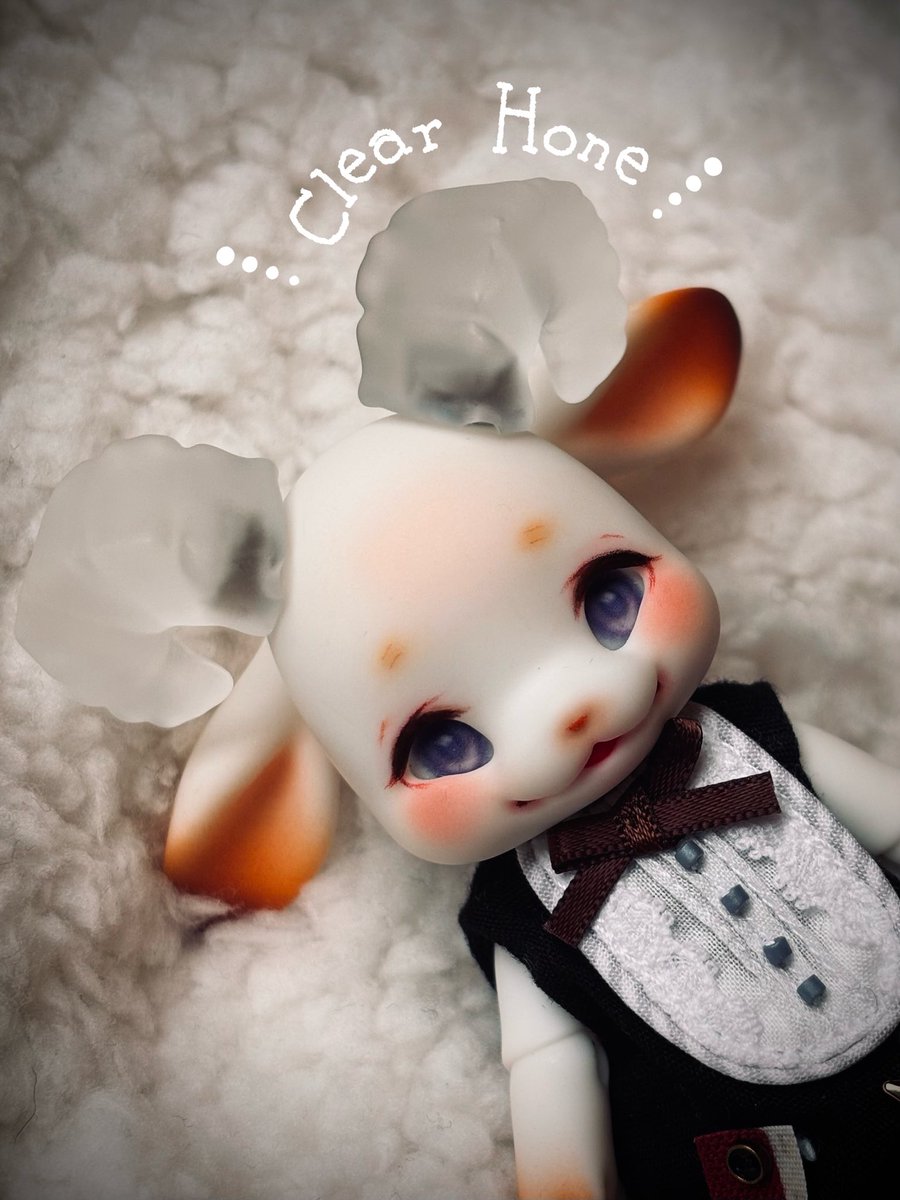 年末販売のconeクリア角(clear/glitter)の中身はclearでした✨
うちにはまだconeが居ないので代わりにうなちゃんに付けてもらいました🤭
きゃわいい🤍