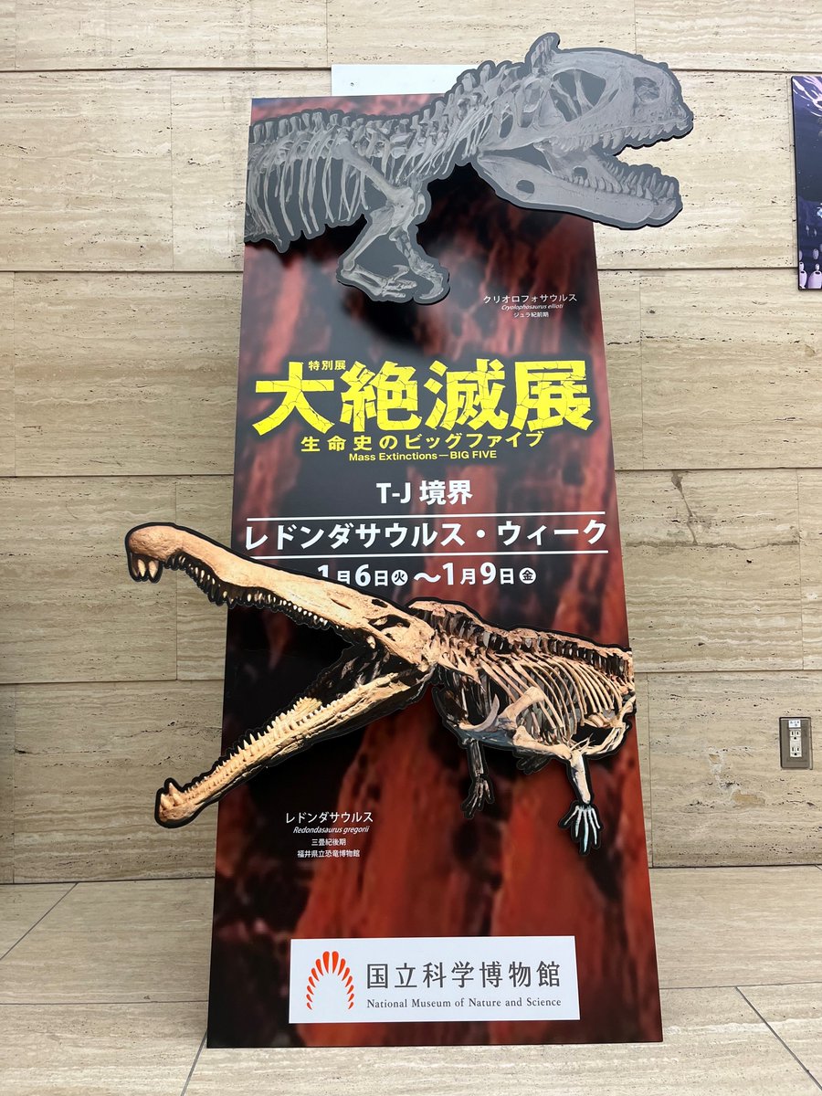 レドンダサウルス・ウィーク 明日から開催！！！ ＼ 1月6日（火）〜9日