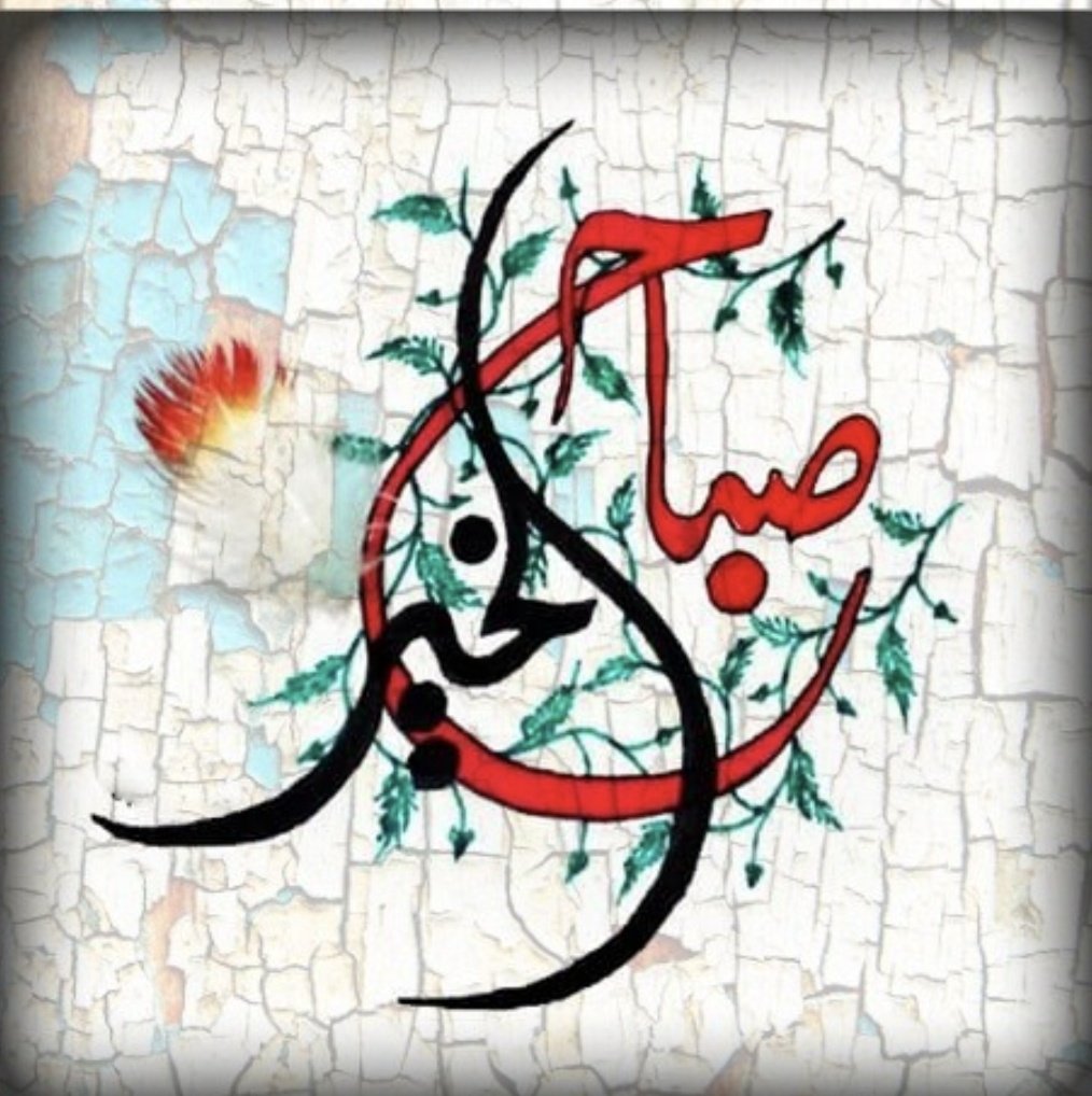 المزن 🇰🇼🇸🇦 💛سحر الطبيعه tweet media