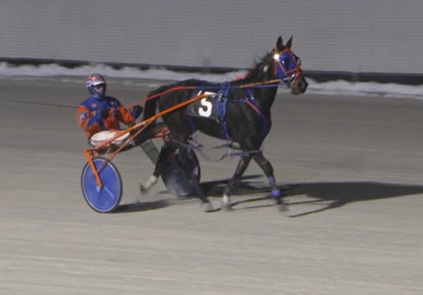 Indiana Harness tweet media