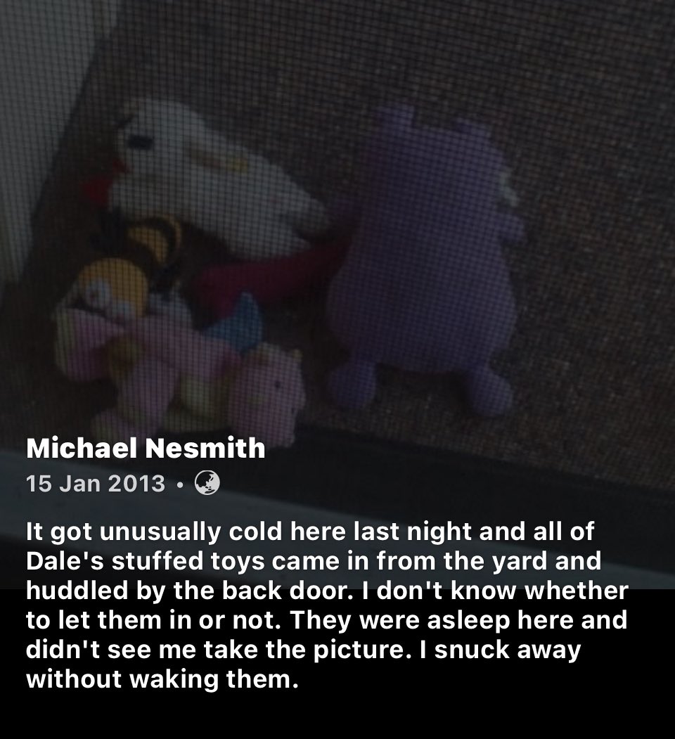 greencat tweet media