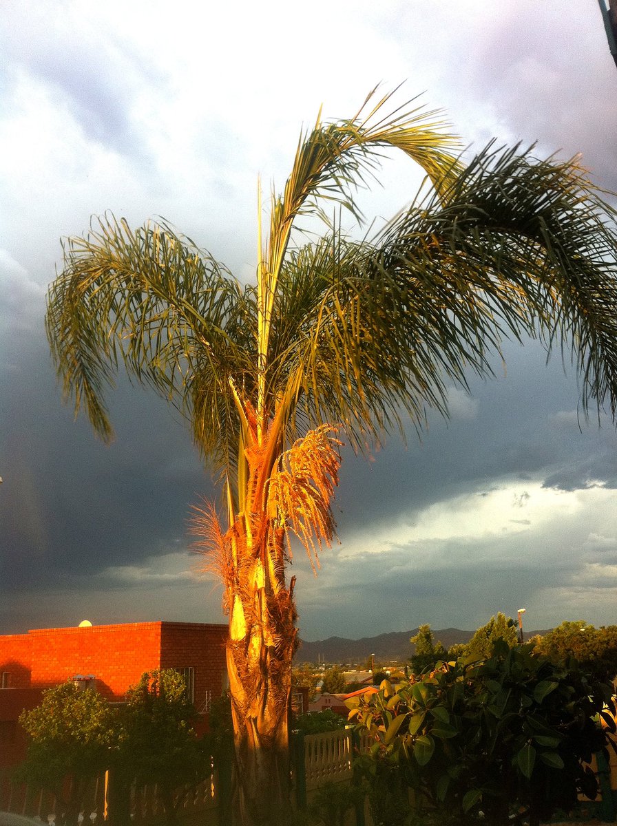 MannyR76 tweet media