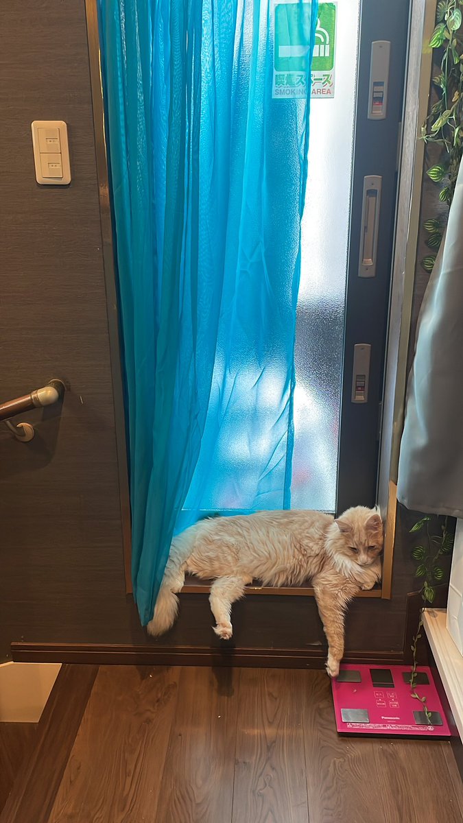 暑がりやから窓際