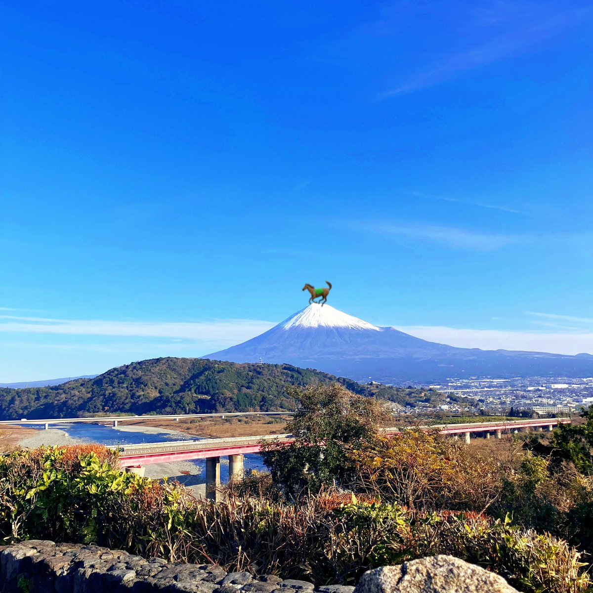 明けましておめでとうございます🎊
今年もどうぞよろしくお願いいたします𖧷