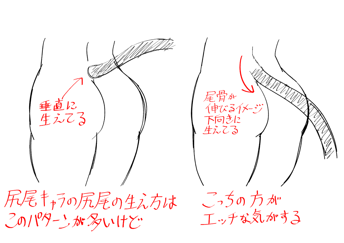 人間に尻尾が生えているキャラに関して個人的に思ってること。 