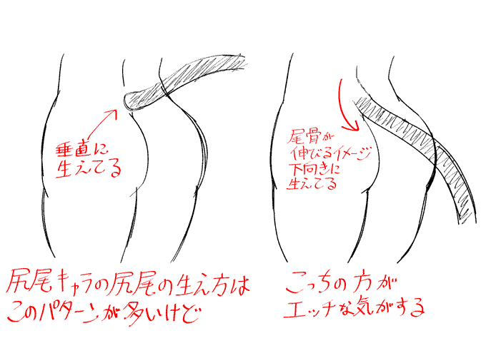 人間に尻尾が生えているキャラに関して個人的に思ってること。 