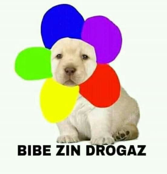 Checo al final del podcast: