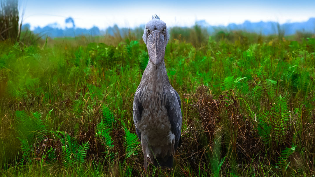 福山雅治 (@BROS_1991) / Posts / X