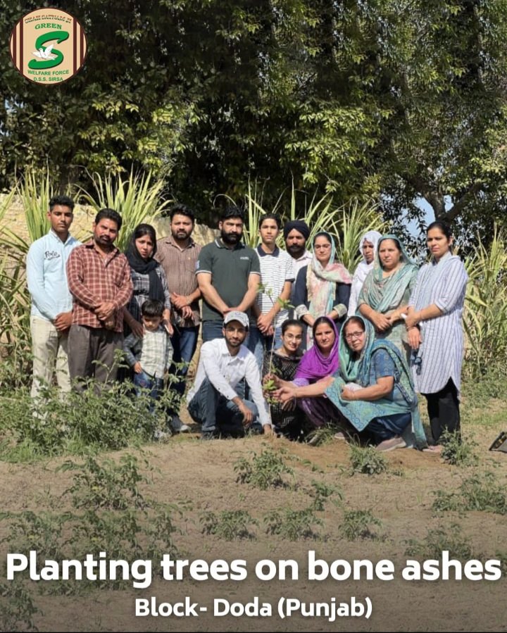 MannukChohan's tweet photo. Planting more and more trees lead to developing a new nature which will provide clean environment . If a new step will took place like Planting trees on bone ashes of late family member  as guided by Saint Dr Gurmeet Ram Rahim Singh ji Insan ji #NurtureNature https://t.co/xLzPRsVKn2