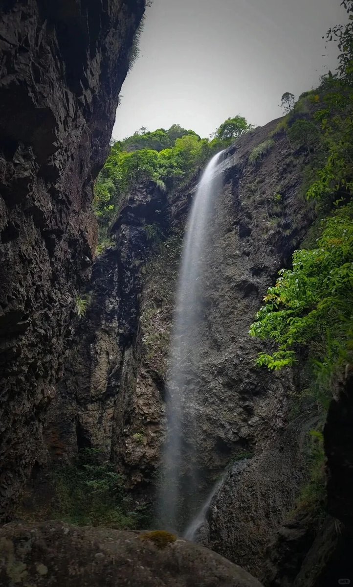 🏁彩虹社瑪利歐大賽第七回放個規則🏁 - 總勢93名livers參加！！！（快破百了欸預選為台灣時間4/27 14：00 正式比賽為5/5  15：00 會在にじさんじ公式頻道直播～ 【150cc】 【含DLC的全地圖】 【全種塞車、道具】 總共分8組, image size:722x1199