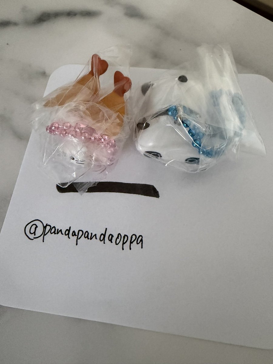 pandapandaoppa's tweet photo. @___LunaS2 検索から失礼します。
にゃんにゃんこ、たれぱんだを所持しております。
まめゴマと2:2の交換希望です。
検討いただけると幸いです。 https://t.co/I1bjcebTCU