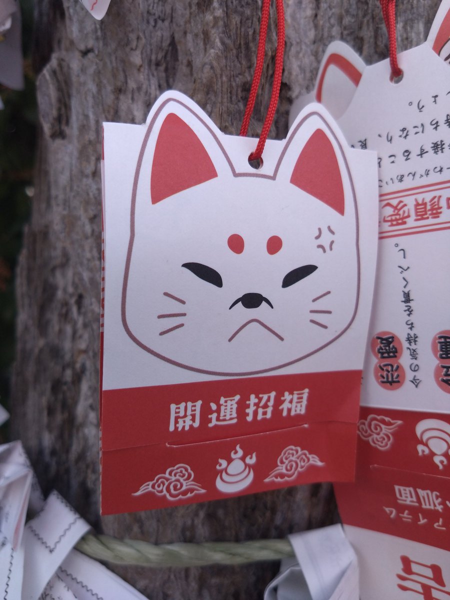 初詣 こんこんきーつね(o・ω・o)