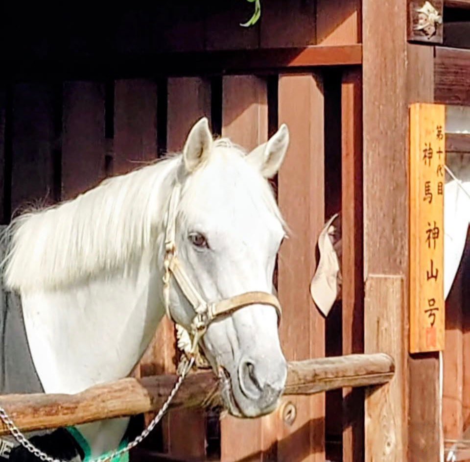 まゆみん𓂃𓂂ꕤ*.ﾟ (@marumaru11751) / Posts / X