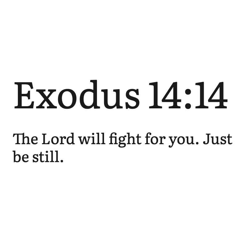 Christ is King tweet media