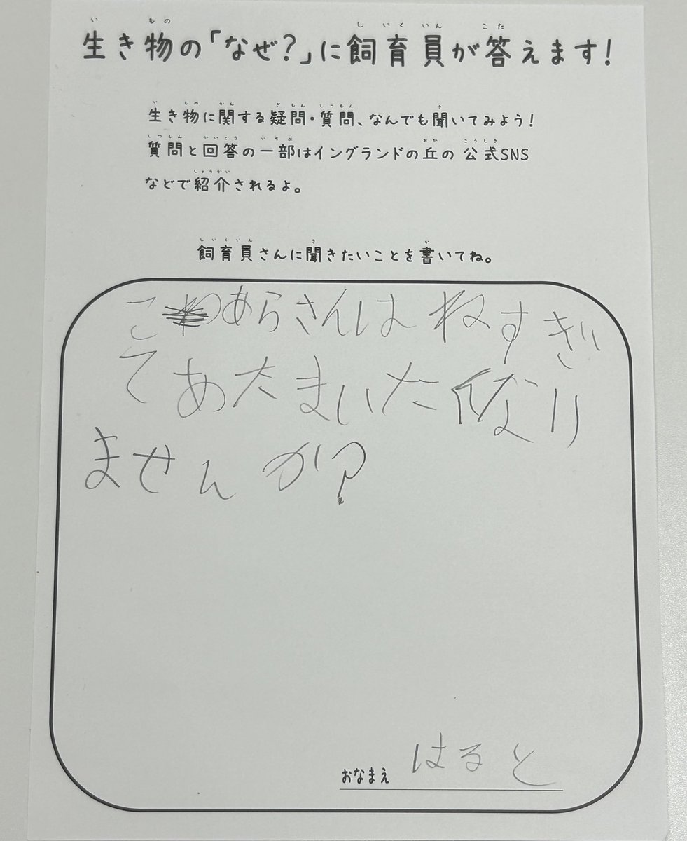 englandhill_zoo's tweet photo. お正月休みに寝過ぎたみなさま@( -  ●  - )@ https://t.co/BD86QPlCaC