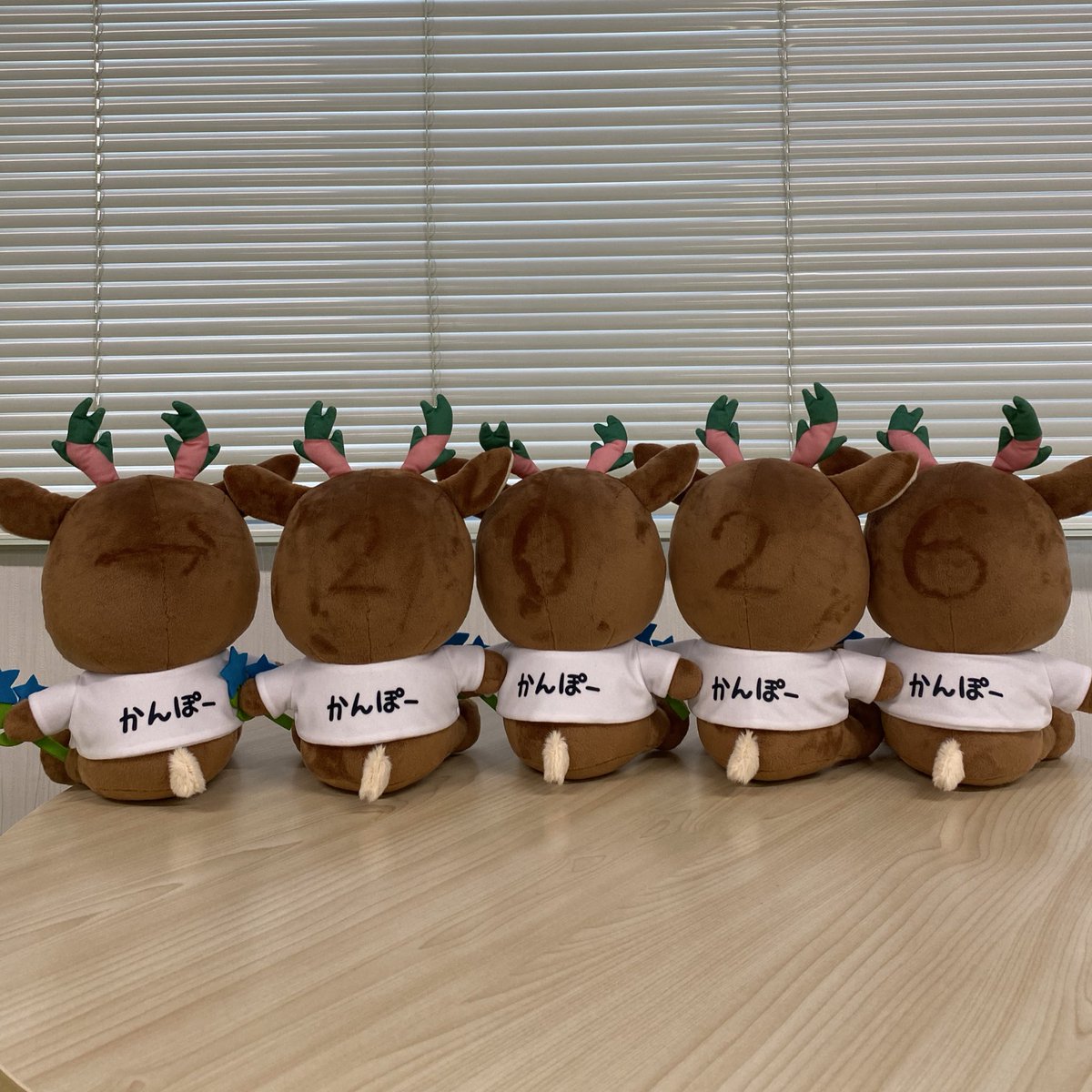 ジェーピーエス製薬株式会社 tweet media