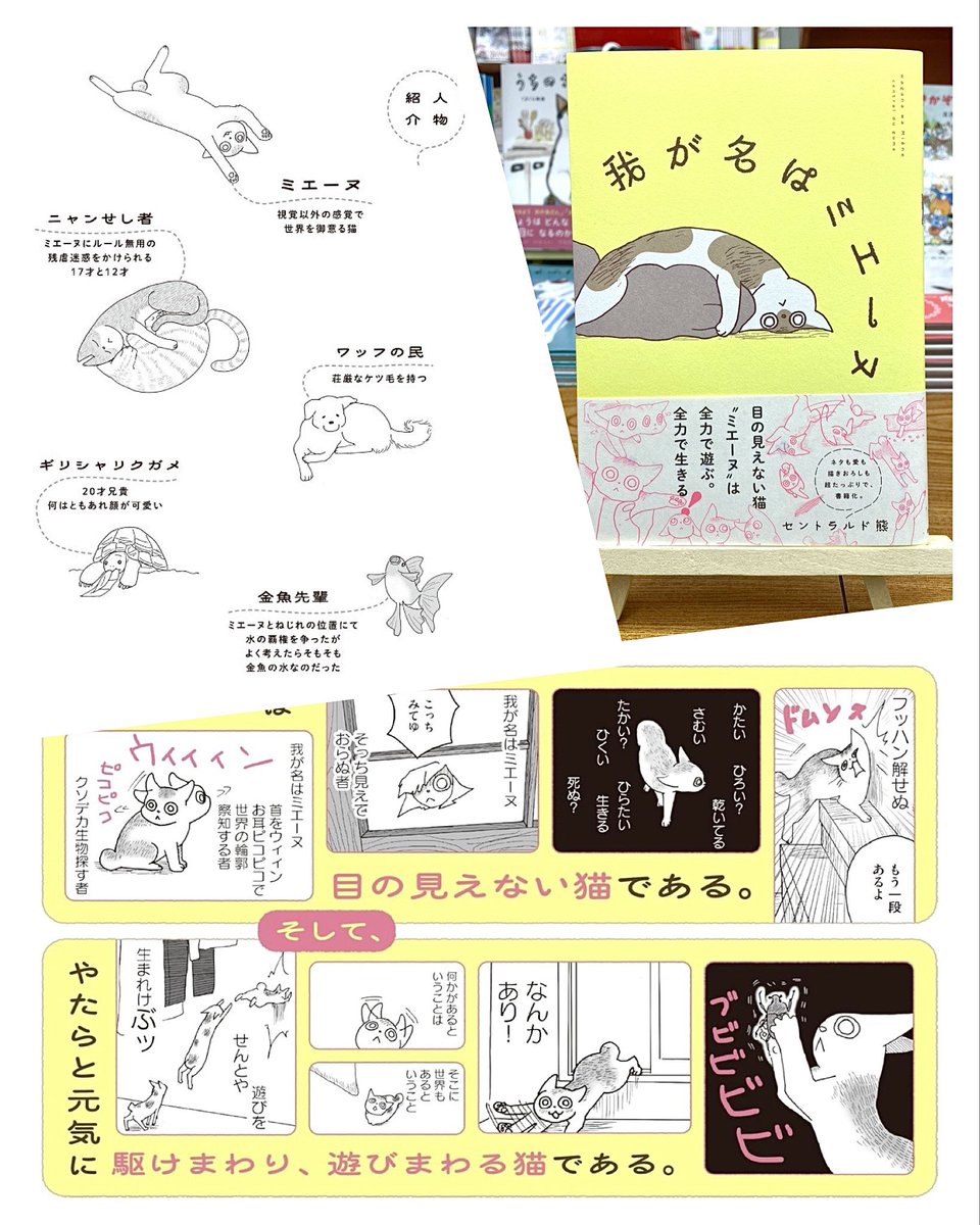 我が名はミエーヌ』12/5発売🔔特典情報は固定ポストに (@waganahamienu
