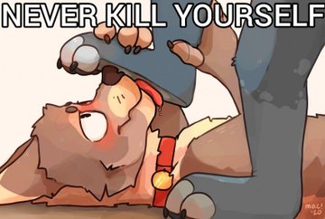 OtterBombastic's tweet image. 