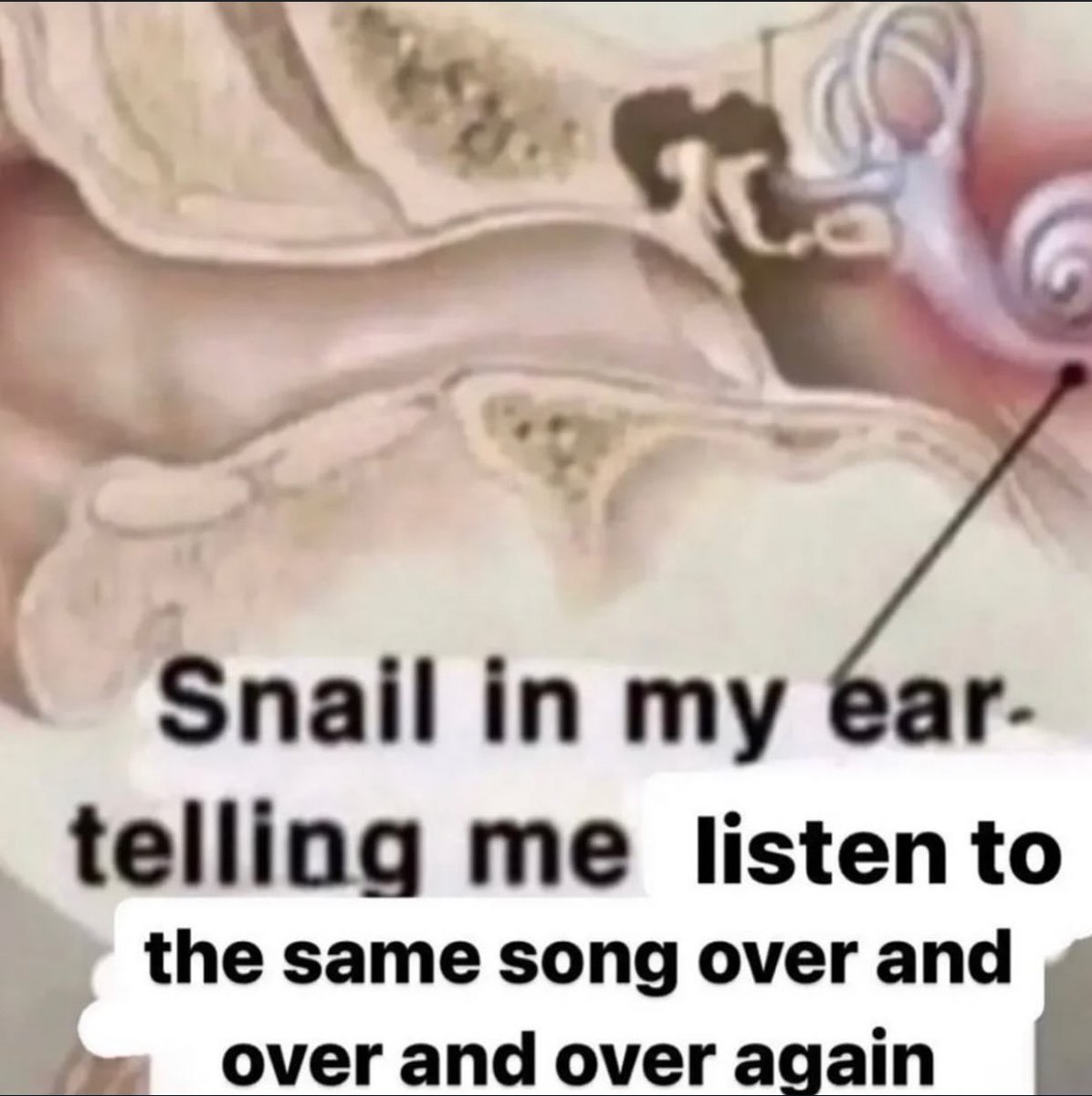 The Notorious J.O.V. (@whotfisjovana) on Twitter photo 