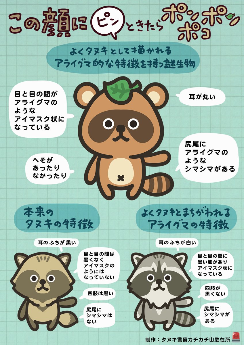 ウラケン・ボルボックスのビオトープ観測所🌱 tweet media