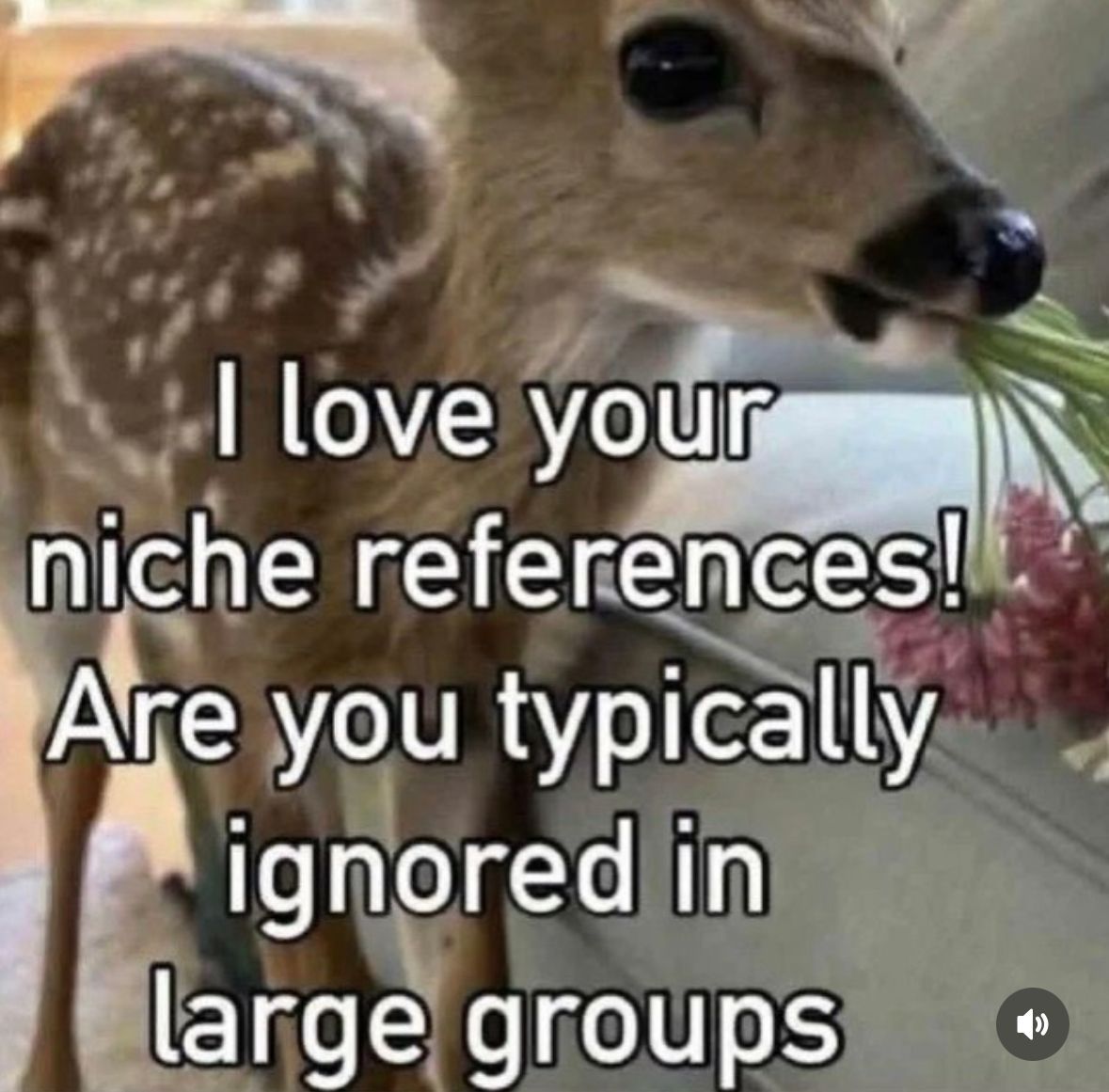 ADHDForReal's tweet image. 