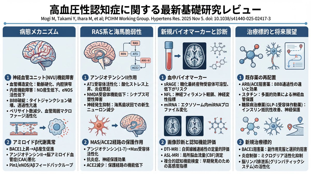 高血圧はどのように認知症を引き起こすのか？高血圧関連認知症の最新基礎研究のレビュー
Hypertens Res 2025 Nov.5
pubmed.ncbi.nlm.nih.gov/41193702/

日本高血圧学会からも声明文として公表された総説論文です