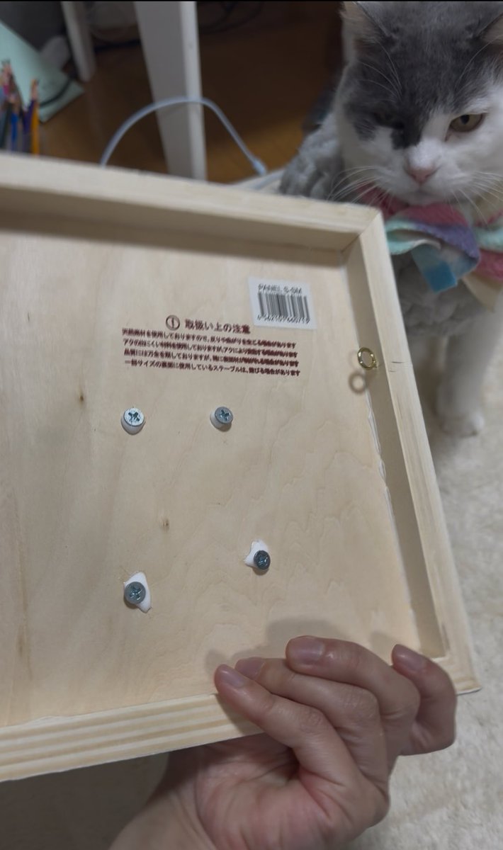 壁掛け立体はビス留めしてるよ