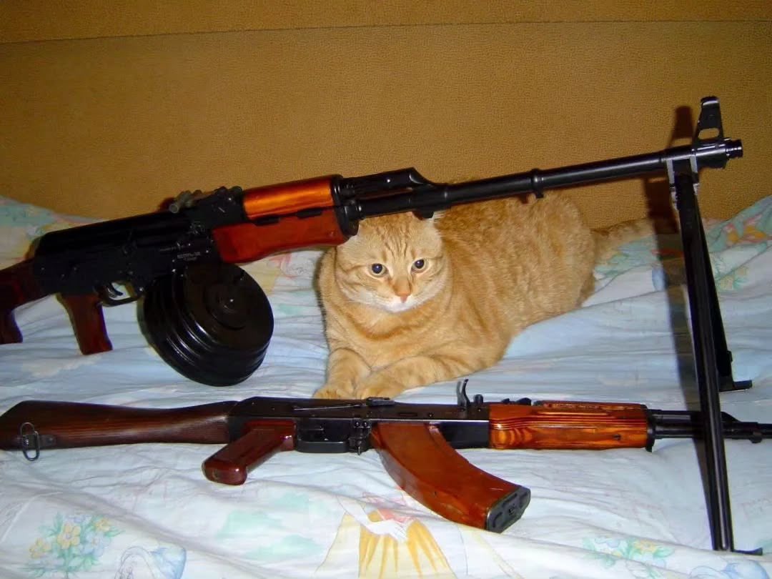 objectfetishist's tweet image. Current hobby is going through ancient Russian gun forms and downloading all the photos with cats