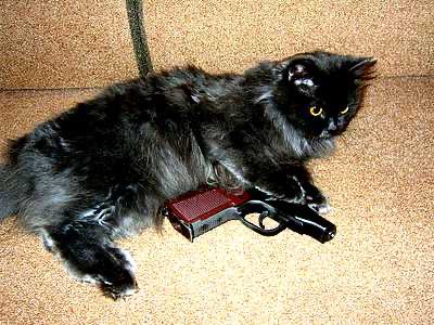 objectfetishist's tweet image. Current hobby is going through ancient Russian gun forms and downloading all the photos with cats