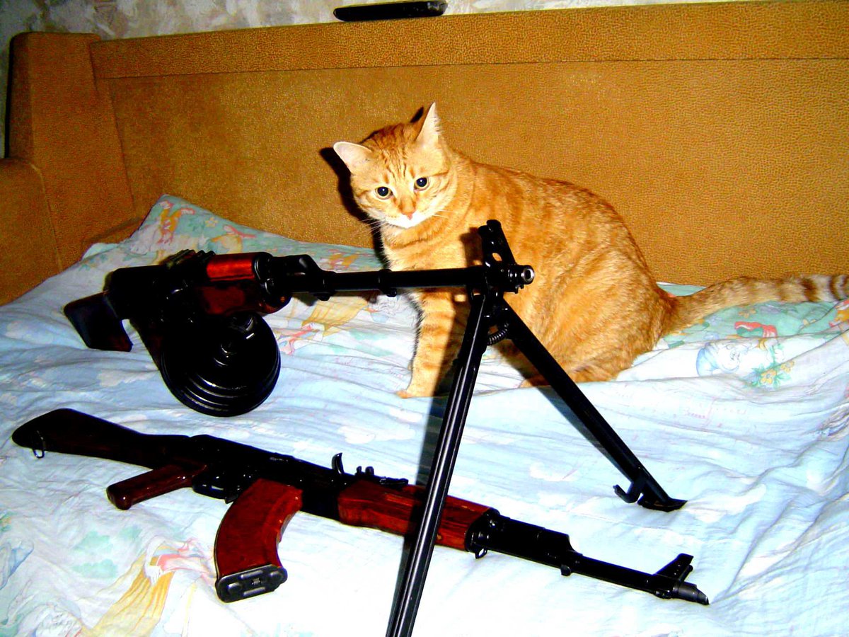 objectfetishist's tweet image. Current hobby is going through ancient Russian gun forms and downloading all the photos with cats