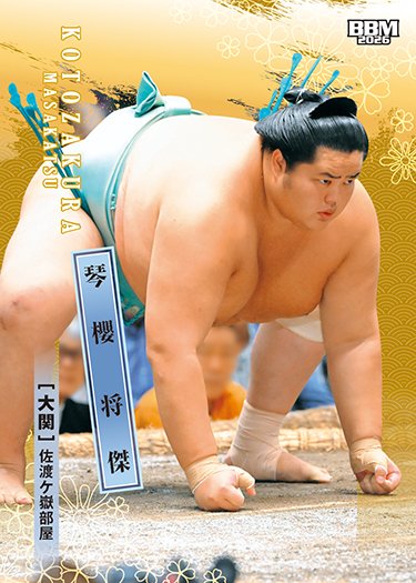 大相撲カード　レギュラー　キラ　フルコンプ 2026 146枚 BBM