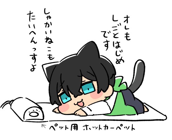 に。 tweet media