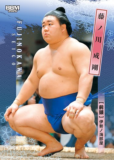146枚 BBM 大相撲カード　レギュラー　キラ　フルコンプ 2026